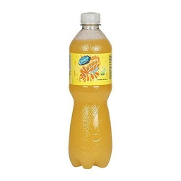 [303] Carnaval Naranjada C/Soda 20 onz